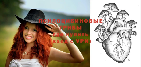 эйфоретик Лихославль