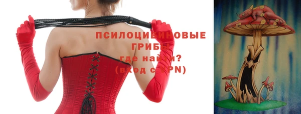 spice Липки
